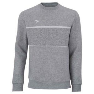 Tecnifibre Team Sweatshirt Gris 12-14 Years