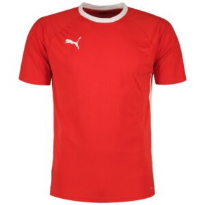 Puma Teamliga Short Sleeve T-shirt Rojo S Hombre