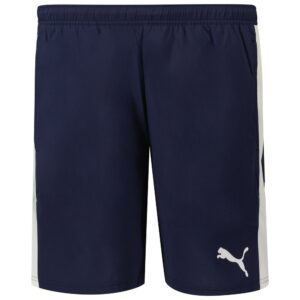 Puma Teamliga Shorts Azul XL Hombre