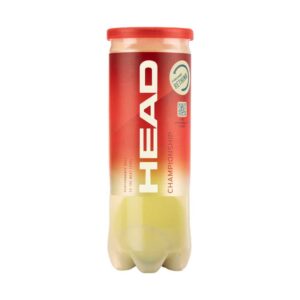 Head Racket Championship Tennis Balls Box Dorado 24 x 3 Balls