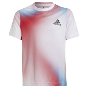 Adidas Q1 Short Sleeve T-shirt Blanco 15-16 Years Niño