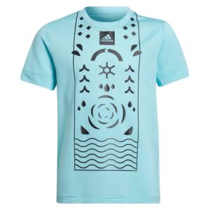Adidas Q2 Short Sleeve T-shirt Azul 9-10 Years Niño
