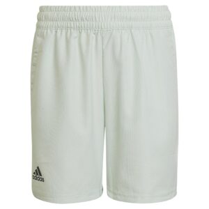 Adidas Club Shorts Verde 9-10 Years Niño