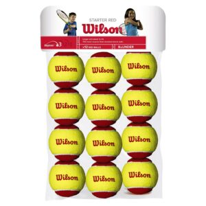Wilson Starter Tennis Ball 12 Units Amarillo