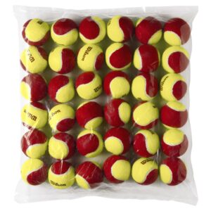 Wilson Starter Tennis Ball 36 Units Rojo