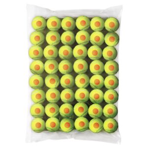 Wilson Starter Tennis Ball 48 Units Amarillo