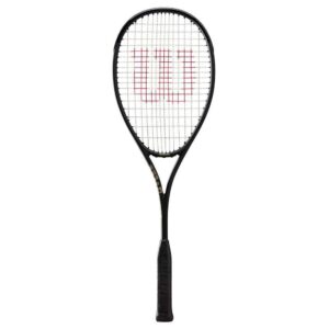 Wilson Pro Staff L Squash Racket Plateado 0
